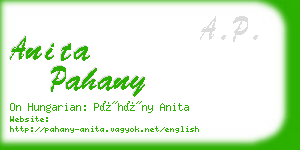 anita pahany business card